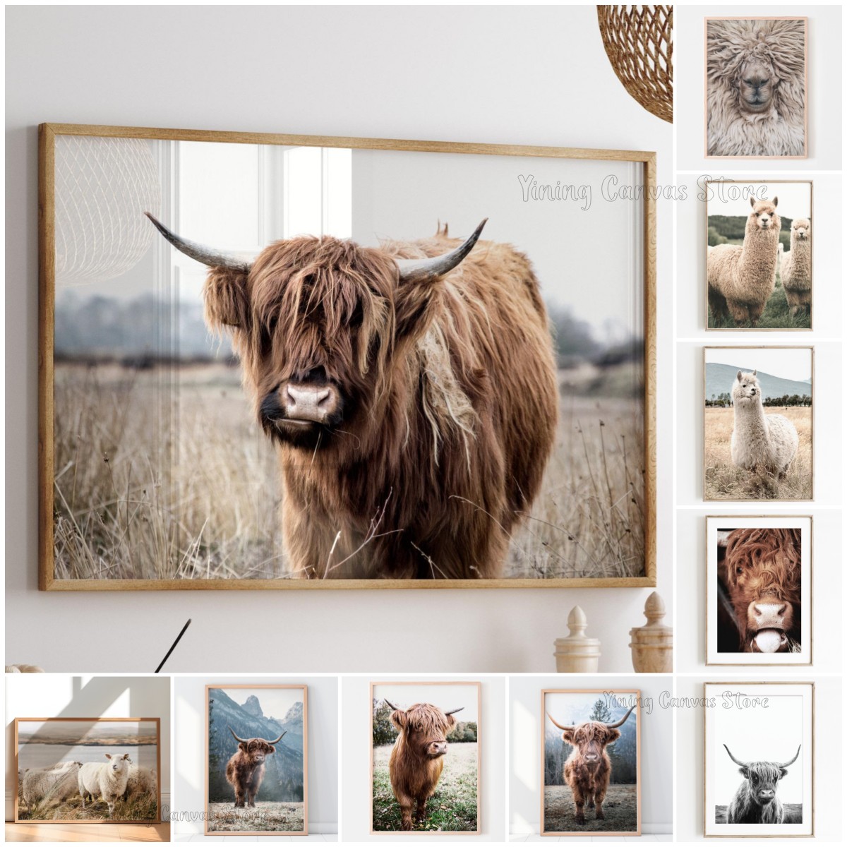 Photography Landscape - Scottish Highland Cow Wild Animal Nordic