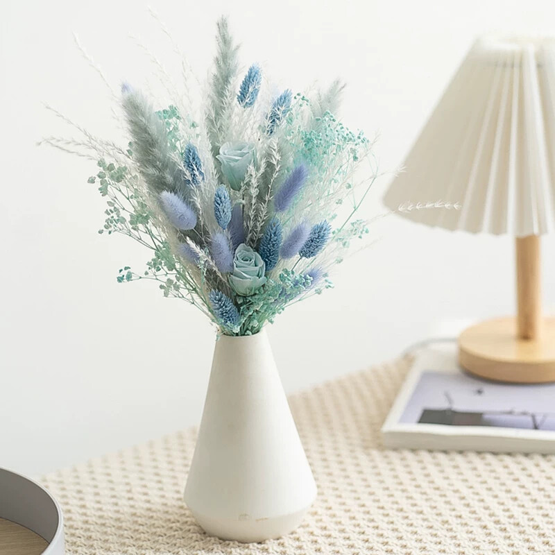 Photography Graduation - Preserved Rose Rabbit Tail Reed Dried