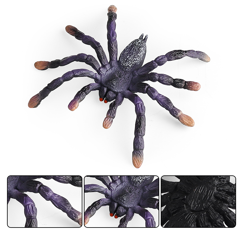 Oenux Insect Animals Model Spi - đánh giá và giá Photography Online
