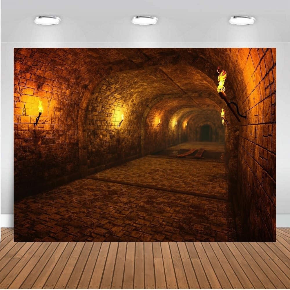 Dark Medieval Castle Dungeon T - đánh giá và giá Photography Dark Cloth