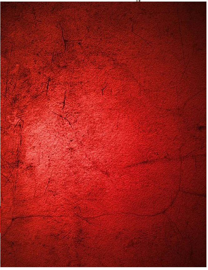 Johnson Scarlet Dark red backd - đánh giá và giá Photography Dark Cloth