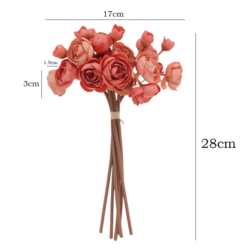 11INCH 6pcs-1set Small Camelli - đánh giá và giá Photography Graduation