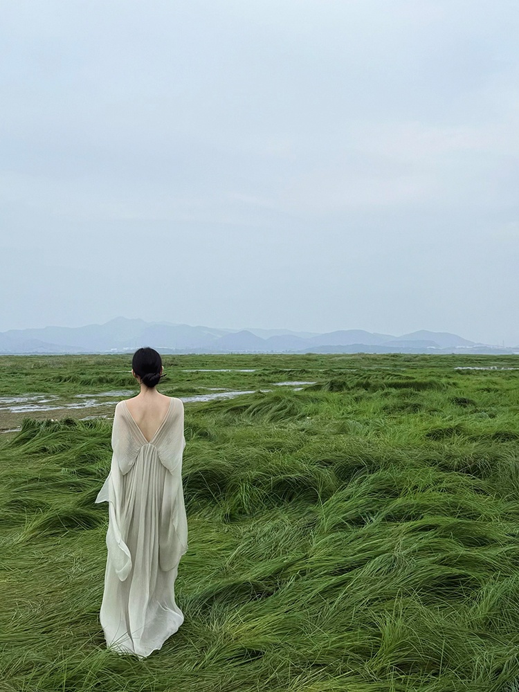 New Chinese Style Loose Long D - đánh giá và giá Photography Zen