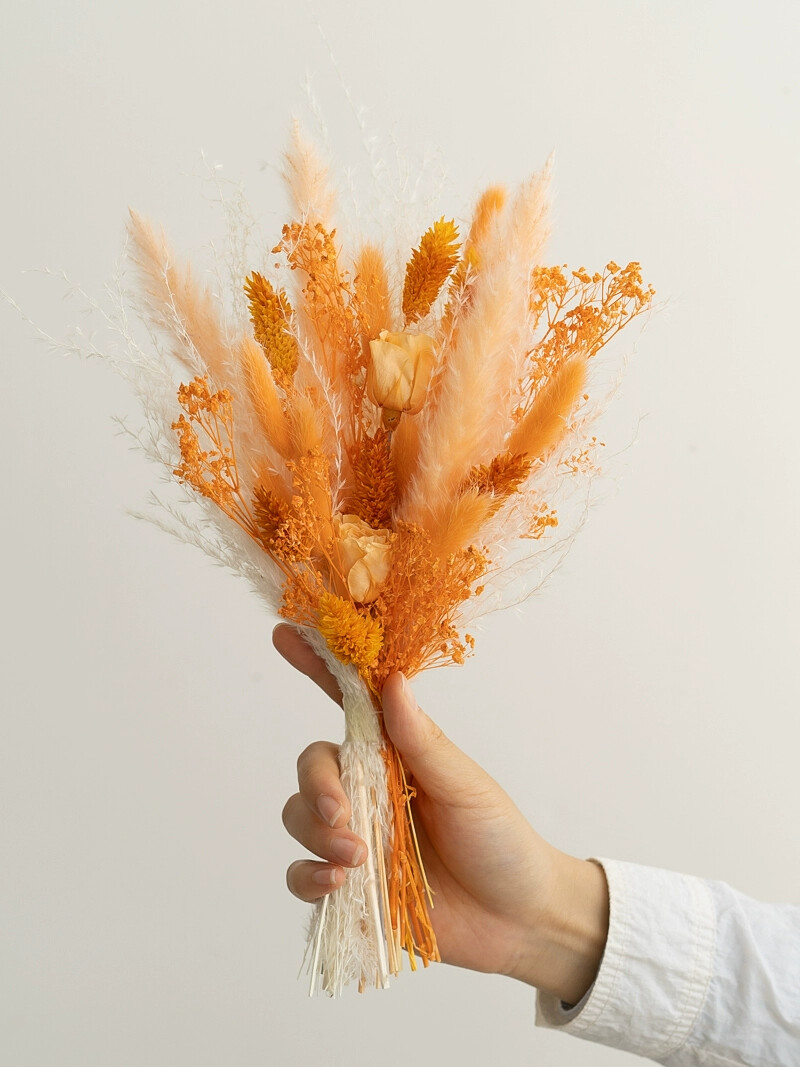 Preserved Rose Rabbit Tail Ree - đánh giá và giá Photography Graduation