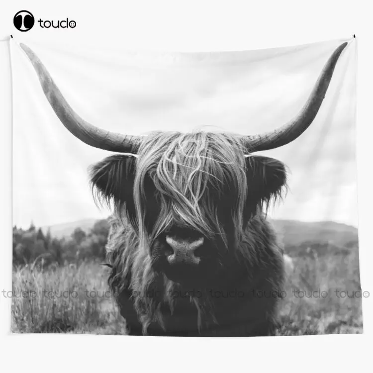 Scottish Highland Cattle - Bla - đánh giá và giá Photography Online