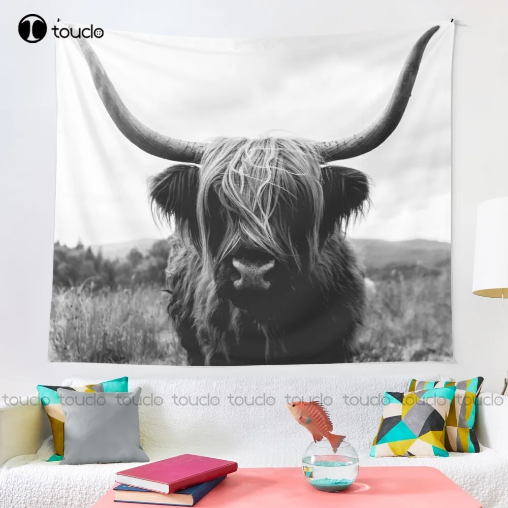 Scottish Highland Cattle - Bla - đánh giá và giá Photography Online