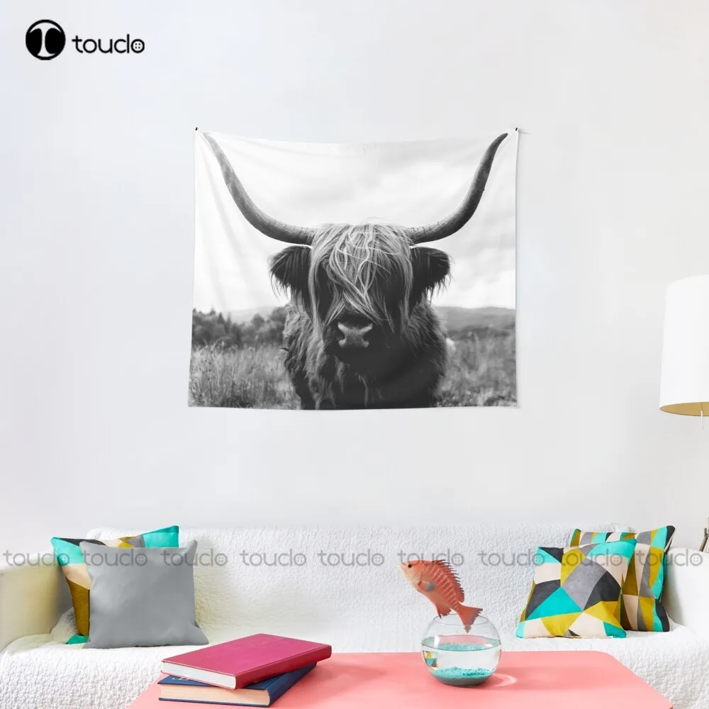 Scottish Highland Cattle - Bla - đánh giá và giá Photography Online