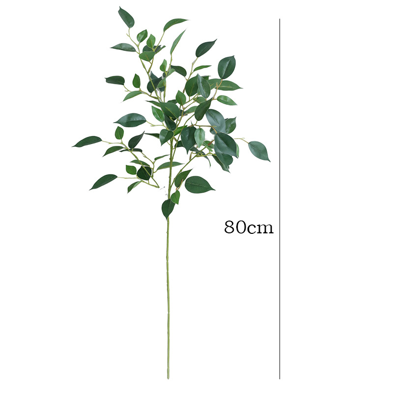 31.5 Inches Artificial Ficus B - đánh giá và giá Photography Graduation